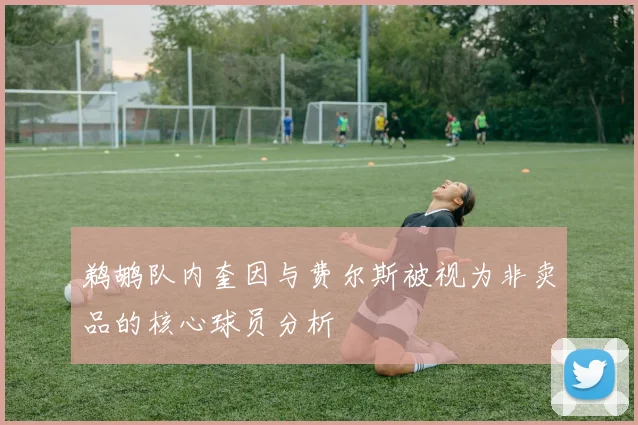 鹈鹕队内奎因与费尔斯被视为非卖品的核心球员分析
