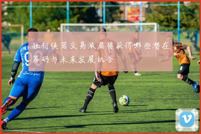 独行侠若交易浓眉将获得哪些潜在筹码与未来发展机会