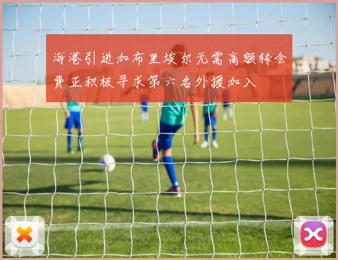 海港引进加布里埃尔无需高额转会费正积极寻求第六名外援加入