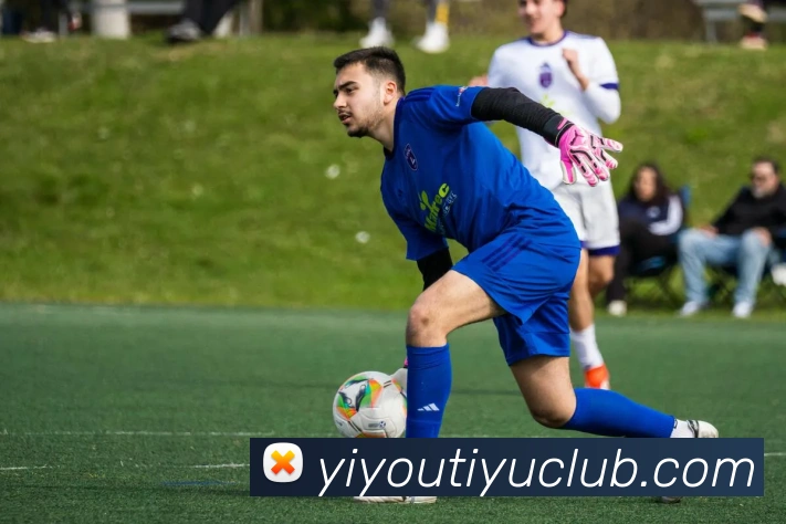 易游体育APP 封面图